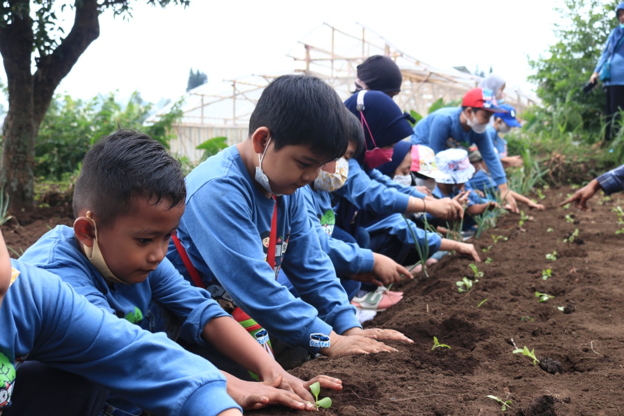 ar berkebun di wisata edukasi desa