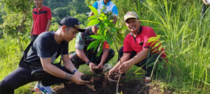 Penghijauan Lingkungan untuk Daerah yang Sehat