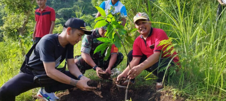 Penghijauan Lingkungan untuk Daerah yang Sehat