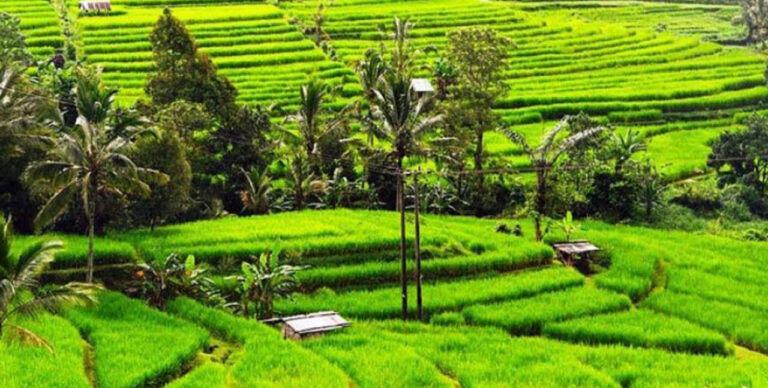 Konservasi Lingkungan Daerah untuk Pembangunan Berkelanjutan