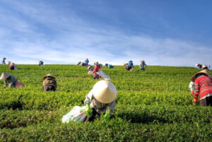 Ilustrasi berita nasional Indonesia 2026 dengan aktivitas masyarakat dan dinamika politik