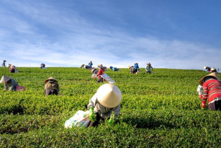 Kabar Indonesia Terbaru 2026: Politik, Ekonomi, dan Dinamika Publik