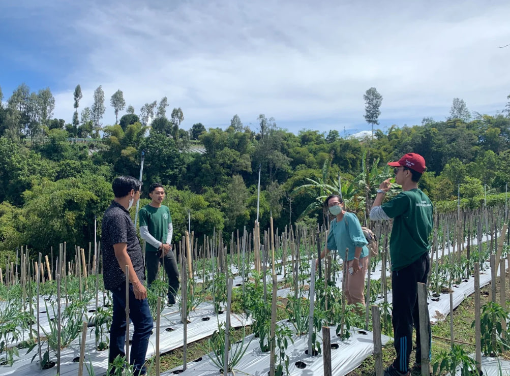 Industri Pengolahan Hasil Tani Desa 2025 sebagai Penggerak Ekonomi Lokal